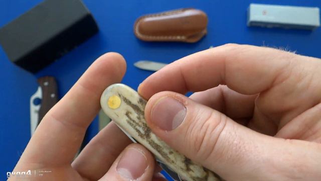 Шах и Мат Victorinox! Многофункциональный Fox Knives