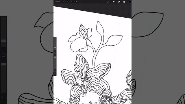 Рисую цветочную мандалу из орхидей в Procreate на iPad Pro