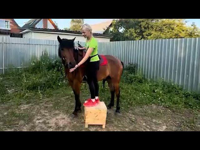 Заездка лошади.Онлайн ученики Horse Familу