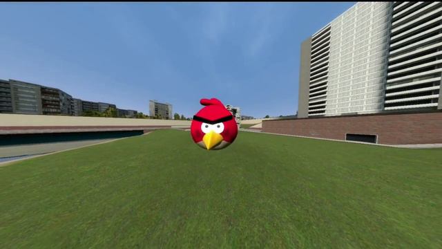 red angry bird 3d