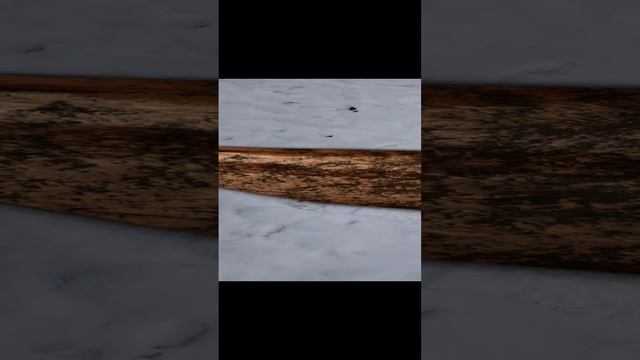 что это