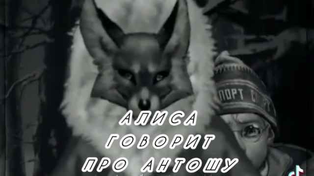 Алиса