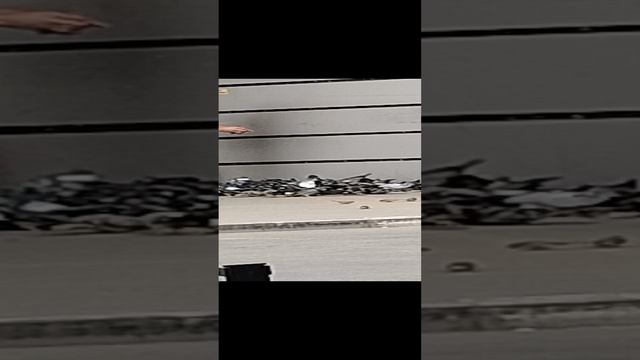 1000007302.mp4