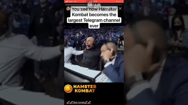 Hamster Kombat telegram