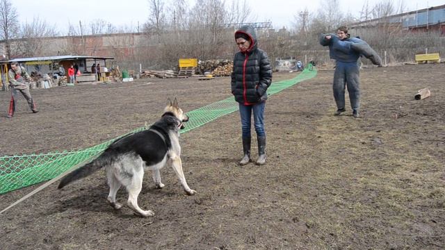 ВЕО Защита