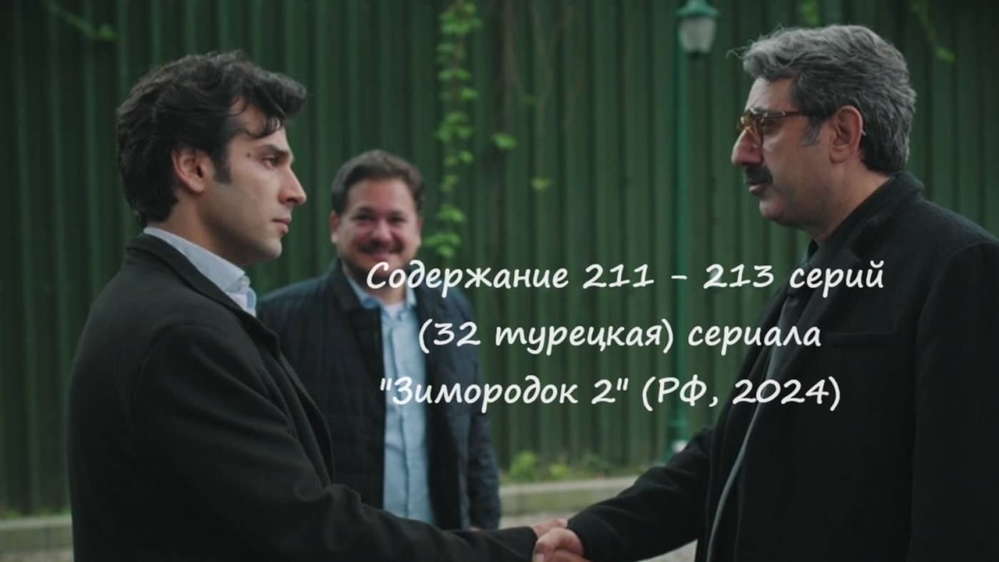 Содержание 211 - 213 серий (32 турецкая) второго сезона сериала "Зимородок" (РФ, 2023 / 2024)