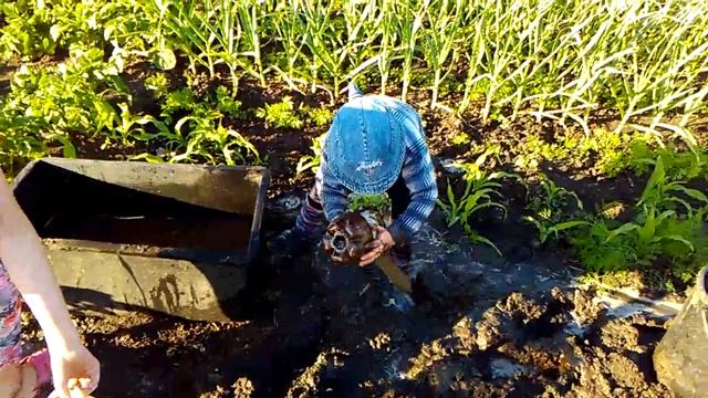 Самое смешное видео. Грязь и дети