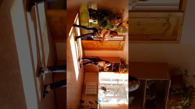 Поздравление мальчиков на двадцать третье февраля