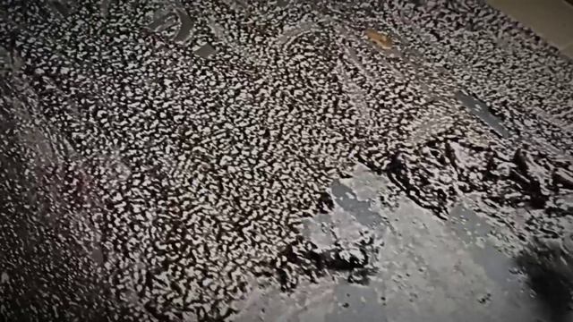 Подготовка задней двери Шевроле Лачетти