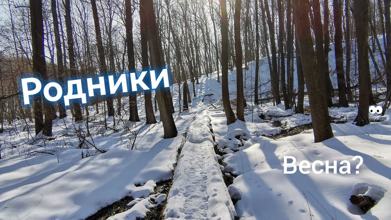 Всречаю весну в лесу. 2024.