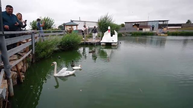 АККОР Республики Татарстан