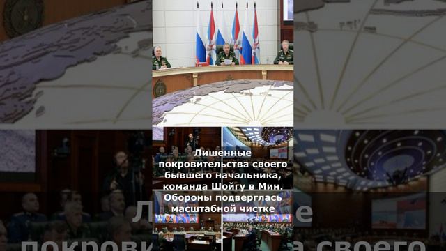 БЕЛОУСОВ НАВЕДЕТ ПОРЯДОК В МИНИСТЕРСТВЕ ОБОРОНЫ!  #война #россия #белоусов #армия #оборона  #shorts