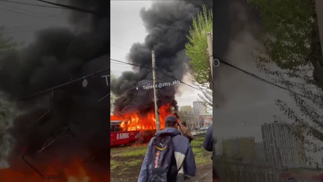 Трамвай с пассажирами загорелся в Екатеринбурге.
Вспыхнула обшивка одного из вагонов.