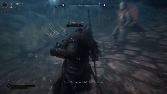 SKYRIM Nolvus
