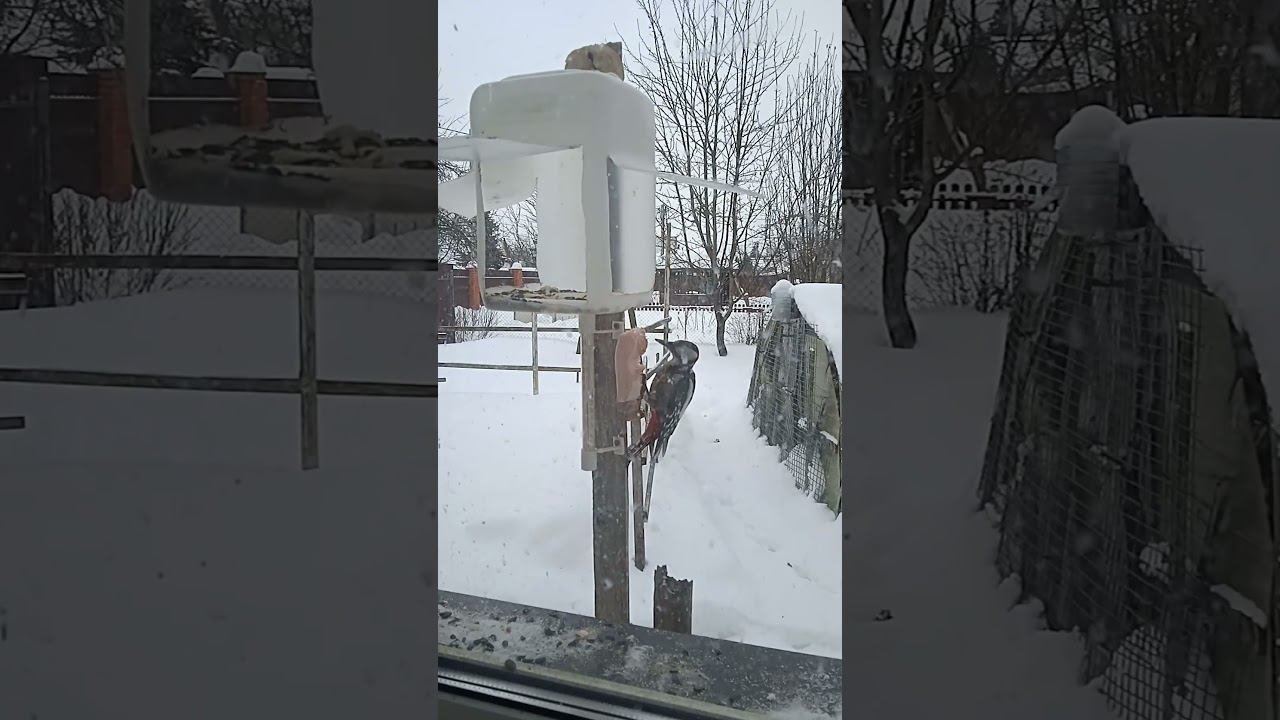 Пункт общественного питания