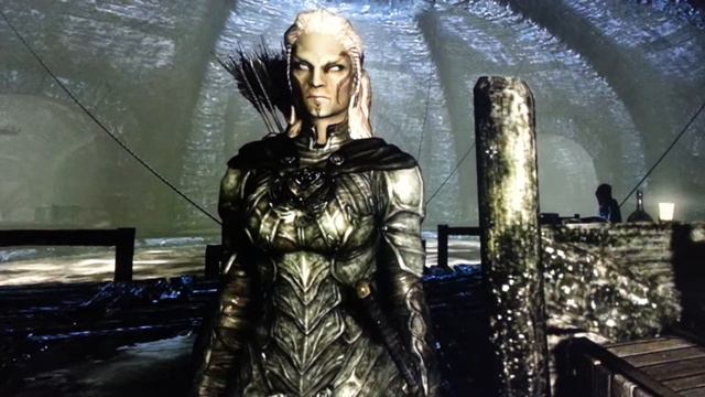 Skyrim. 360 Dark Elf Assassin
