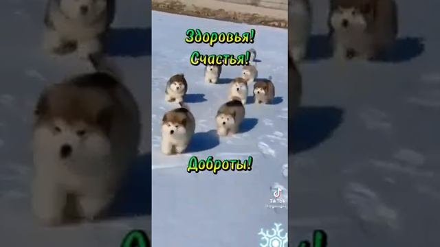 Понедельник привет ... Удачной и классной недели ...🙏😉😀