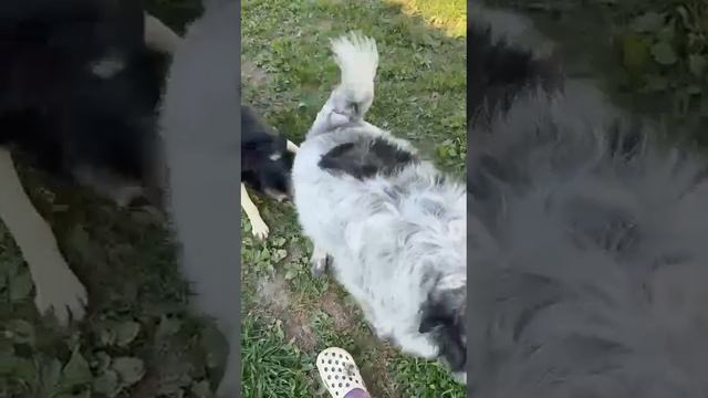 VID-20230922-WA0145.mp4