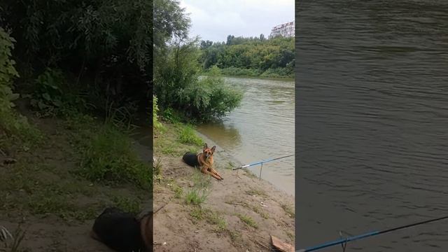 Немцы на рыбалке