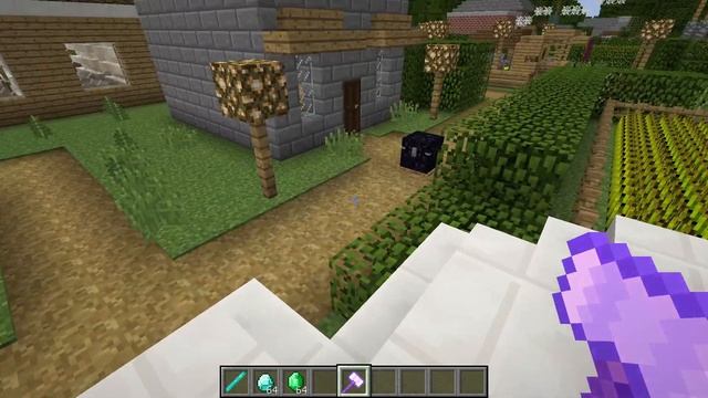 Jenny Mod  JENNY MOD in MINECRAFT
