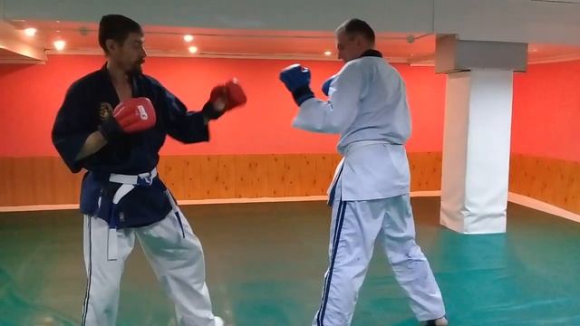 Всемирная Федерация Джиу-Джитсу и Кобудо (WJJF/WJJKO)