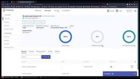 CloudCasa Demo: CloudCasa for Velero
