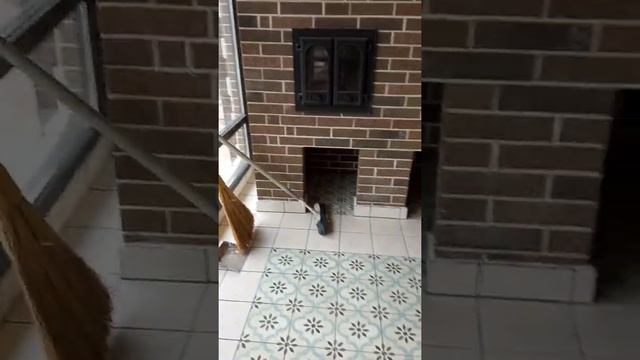 мангальная зона