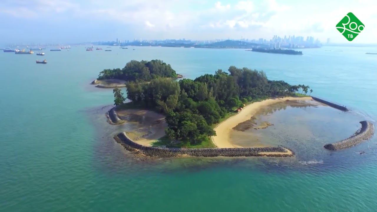 Дикая природа Сингапура. Анонс. Канал Зоо ТВ