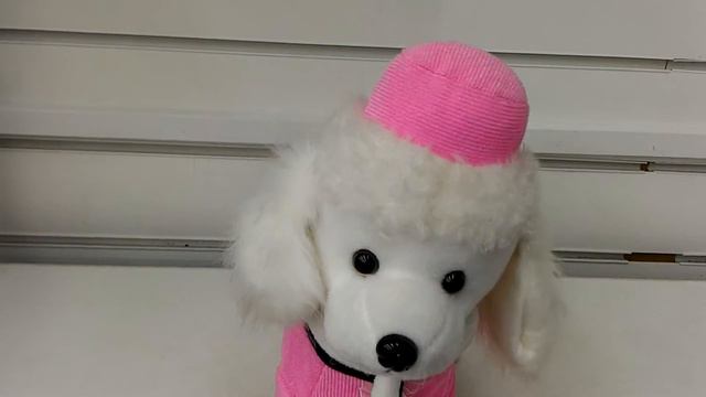 Собачка крутит хвостиком