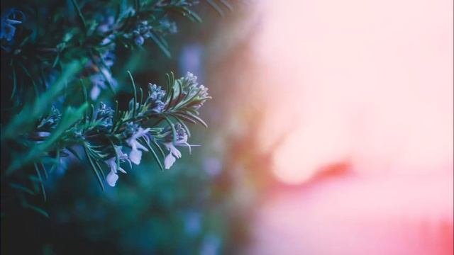 Вып.2 [тихая, нежная музыка фортепиано] 15 пьес для фортепиано легкая музыка фортепианная музыка