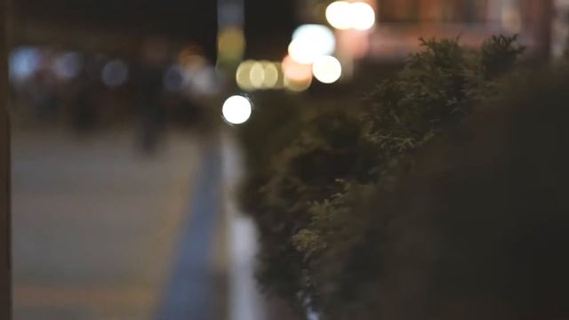 Путешествие На Красную Поляну 2017