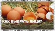 Как выбрать яйца? — Москва24|Контент