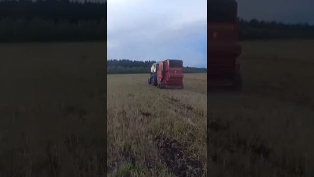 Трактор🚜 Беларус МТЗ-82, прессует сено