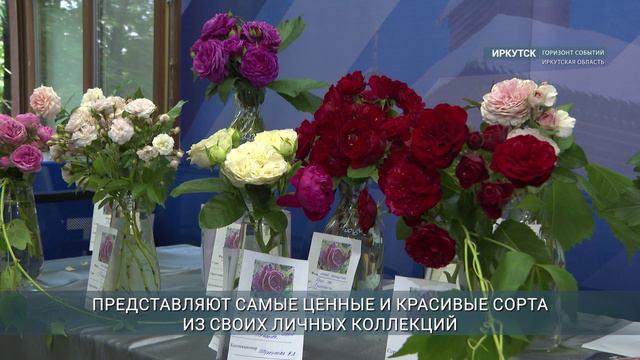 Выставка "Розы и лилейники" открылась в Иркутске