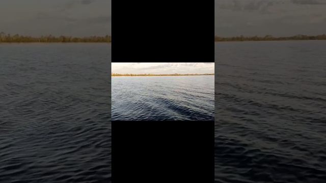 Кумикуш 2024