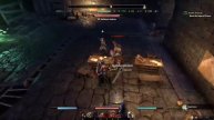 Elder Scrolls: Online