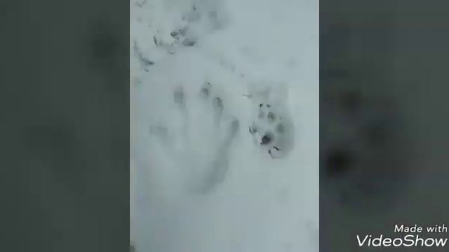 Первая часть очень длинного влога))))