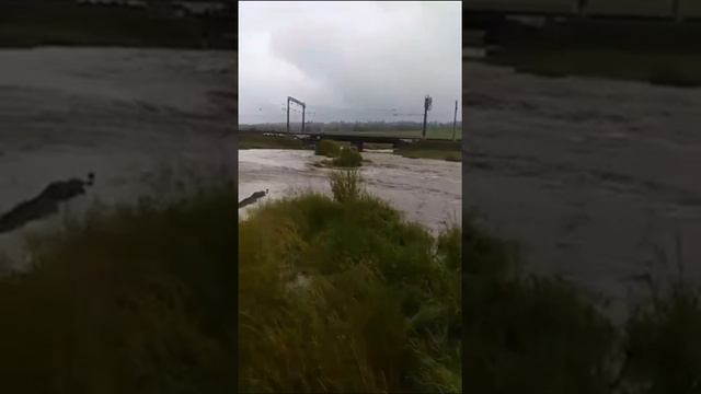 Паводки в Забайкалье привели к затоплению более 50 домов, сообщил губернатор региона Осипов