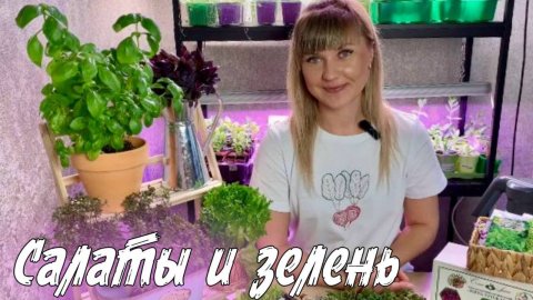 217. Как правильно посадить семена зелени, салатов и микрозелень_ (720p)