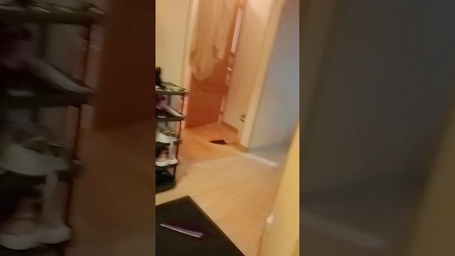 умеет моя сестра прятаться?