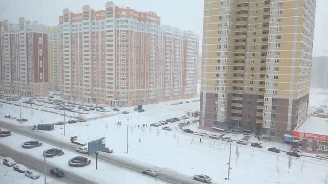 Метель в Ростове-на-Дону. Вернулся павильон на автобусной остановке.