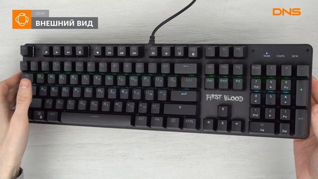Распаковка клавиатуры DEXP First Blood  Unboxing DEXP First Blood
