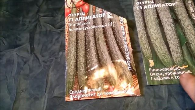 Огурцы аллигатор