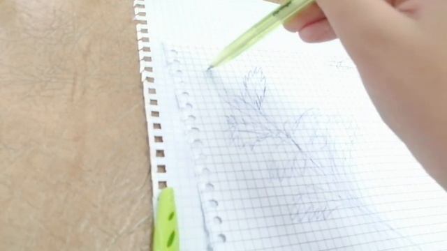 экскурсия по насекомым и подводным жителям??? это просто "ВАУ" ??‼️???