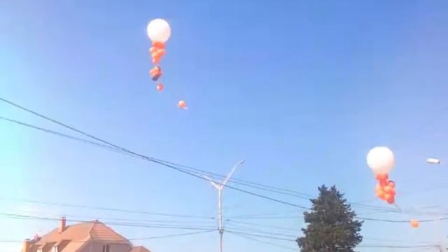 Студия красоты Manifik в Сочи. Уже 3 года с вами!
