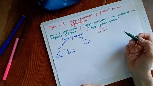 урок 16 "Почему у резус положительных родителей может родиться резус отрицательный ребёнок"