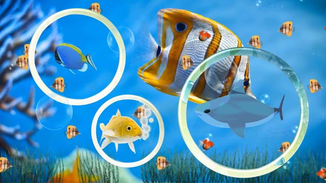 Анимация для детей подводный мир