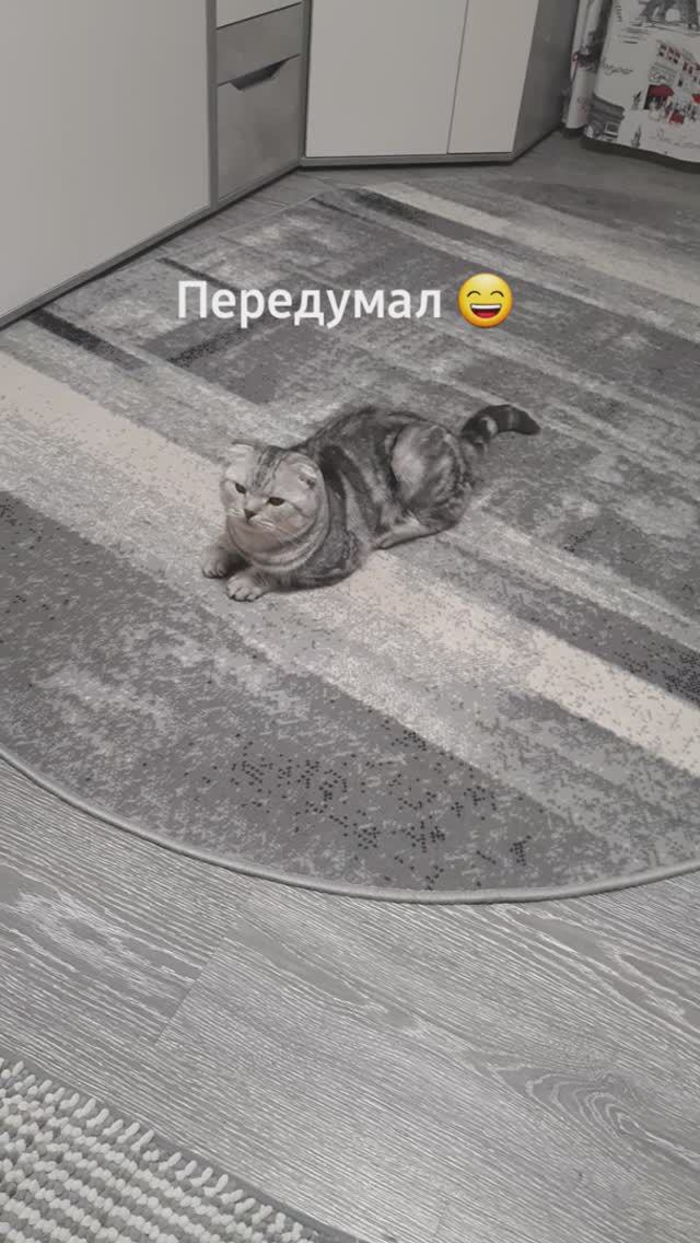 Передумал.