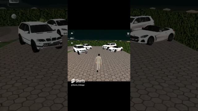 Играю на 1 сервере Руси.