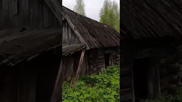 Старинная баня - Заброшенная деревня в  Нижегородской тайге